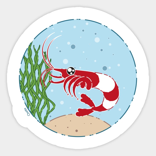 The little red shrimp Sticker by Osette